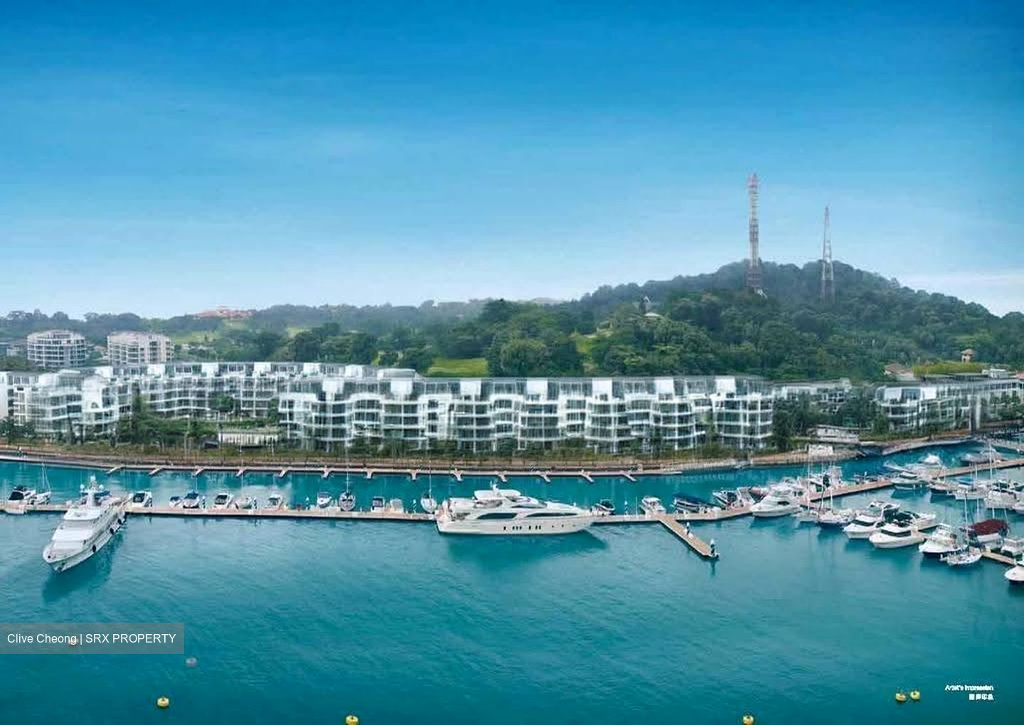 Marina Collection (D4), Condominium #636458121
